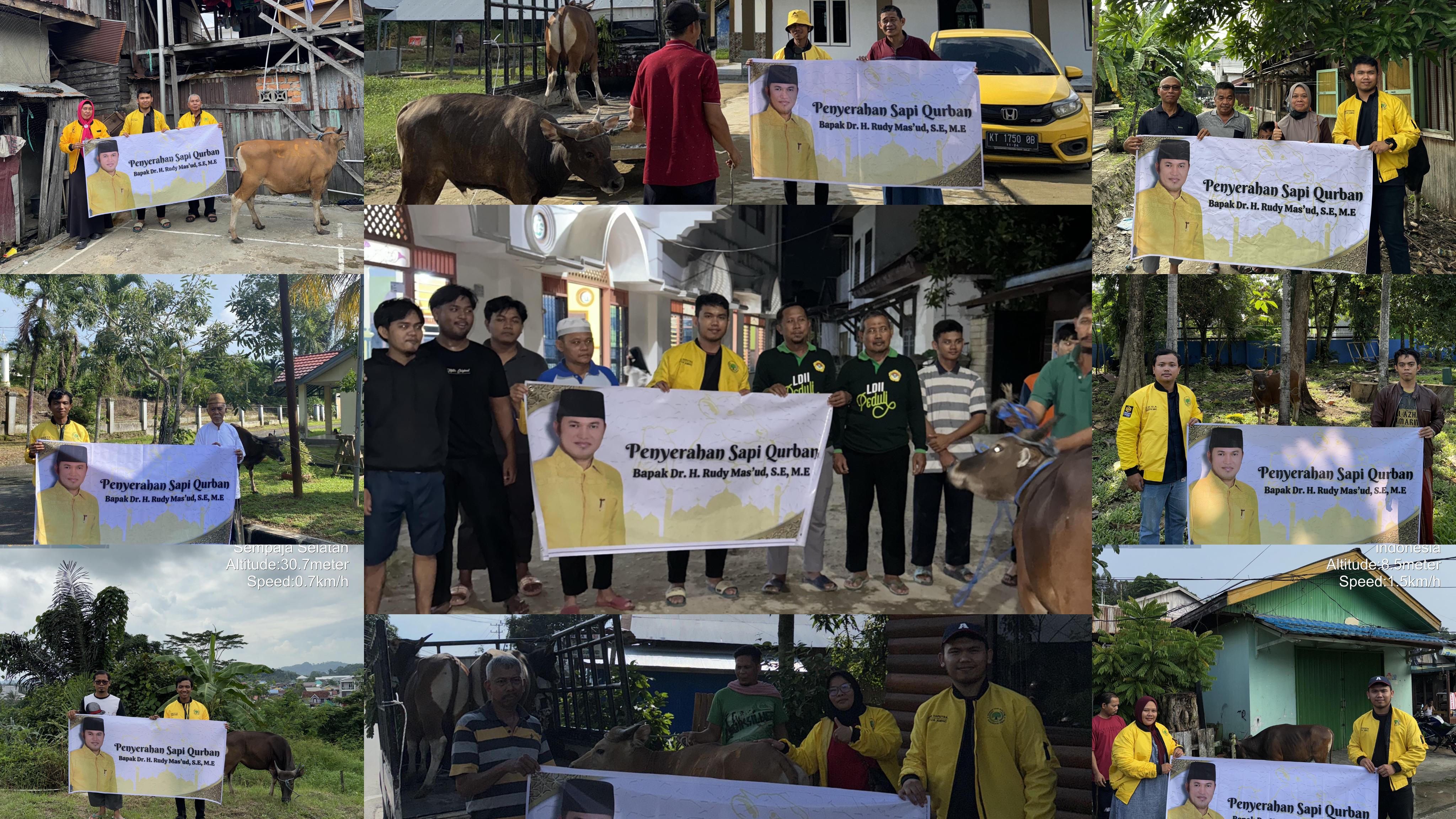 Rudy Masud Kurban 60 Ekor Sapi di Idul Adha 2024